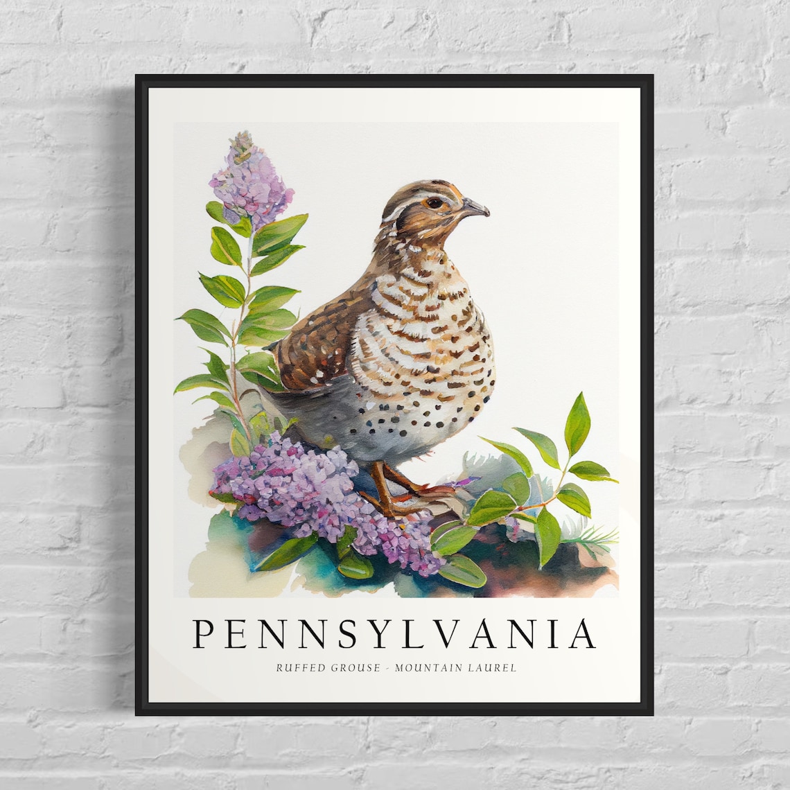 Pennsylvania State Bird And Flower Art Print