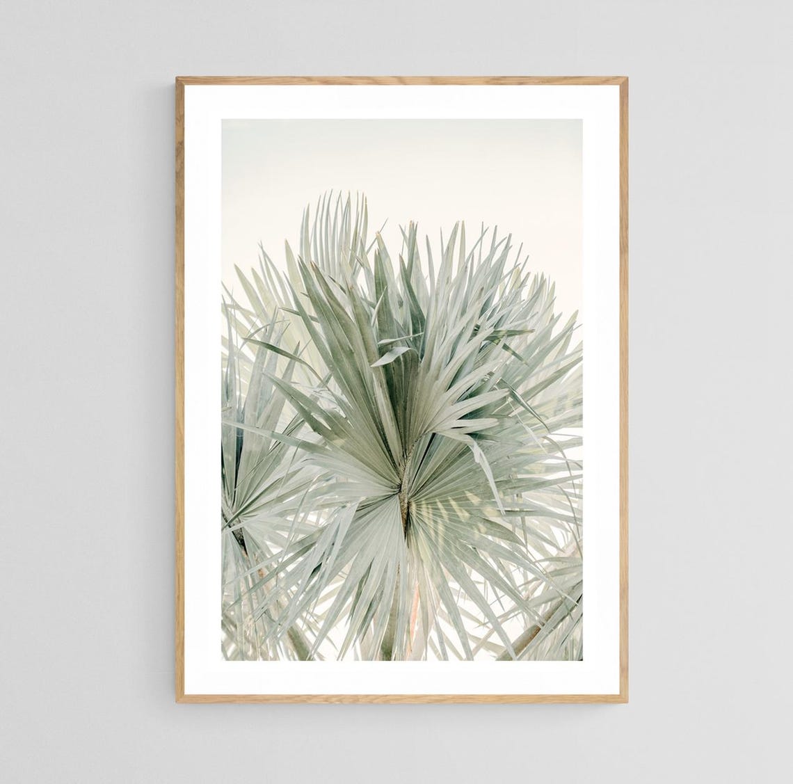 Palm Tree Photograph, Tropical Botanical Art Print