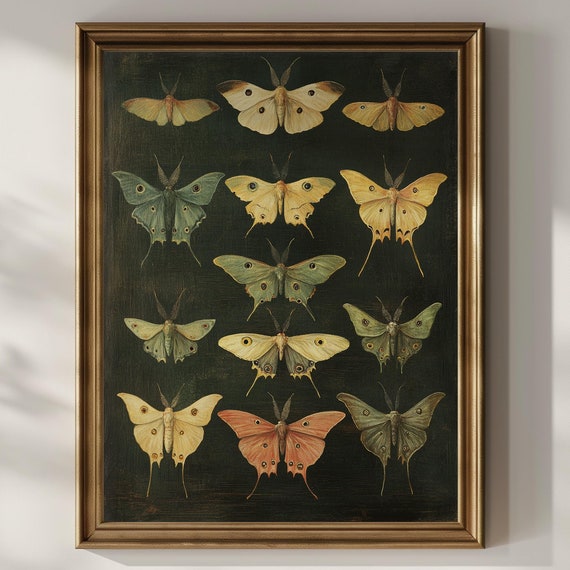 Luna Moth Poster Print Dark Academia Wall Decor Insect Entomology Moody Goth Artwork Butterfly Actia Luna Moths Wall Art Matte Poster