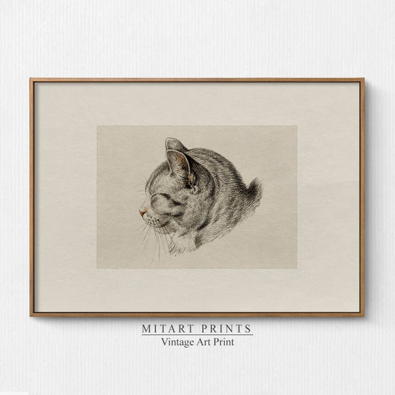 Vintage Cat Print, Farmhouse Nursery Room Art