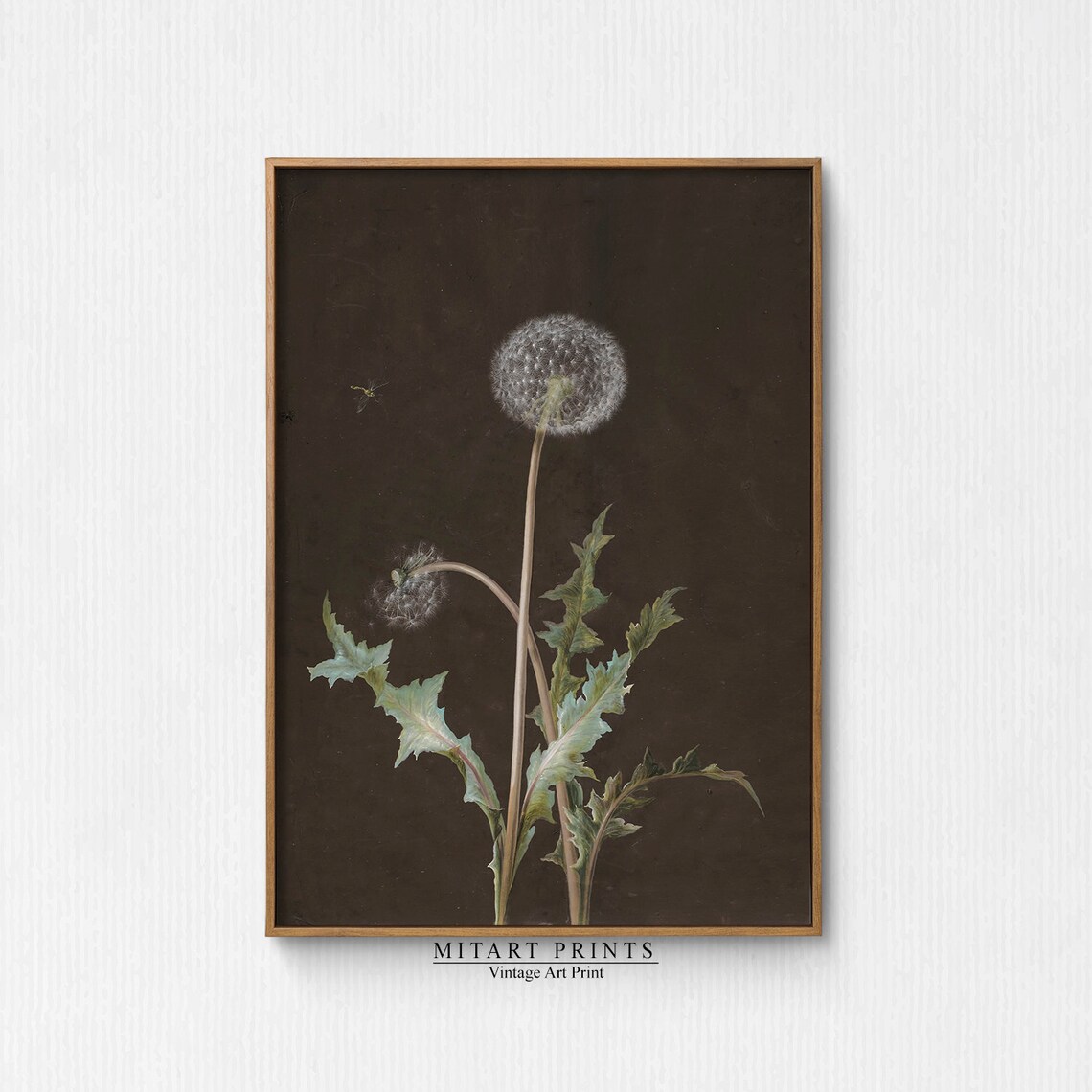 Vintage Dandelion Painting, Antique Botanical Art Print