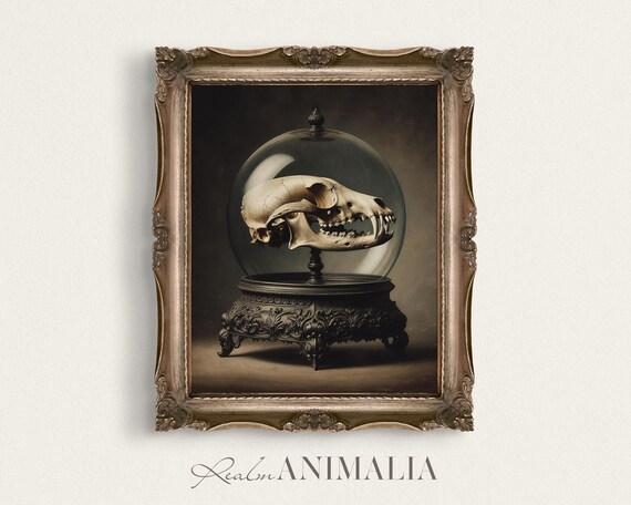 Animal Skull Under Glass Dome Dark Gothic Curiosities Still Life Print