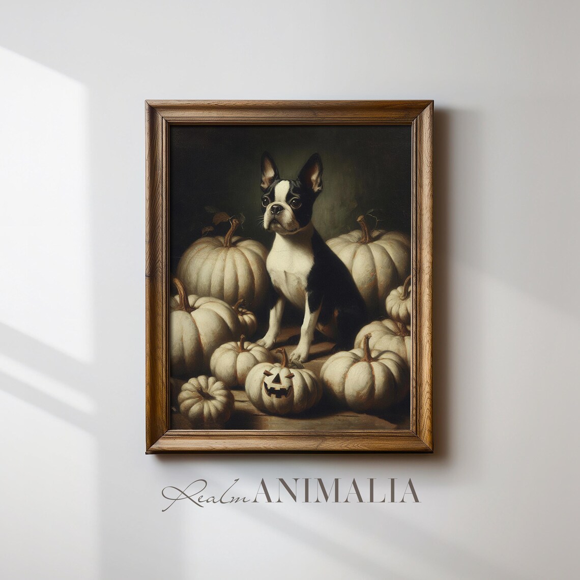Boston Terrier Puppy Among White Pumpkins Moody Halloween Dog Portrait Poster - Image 4