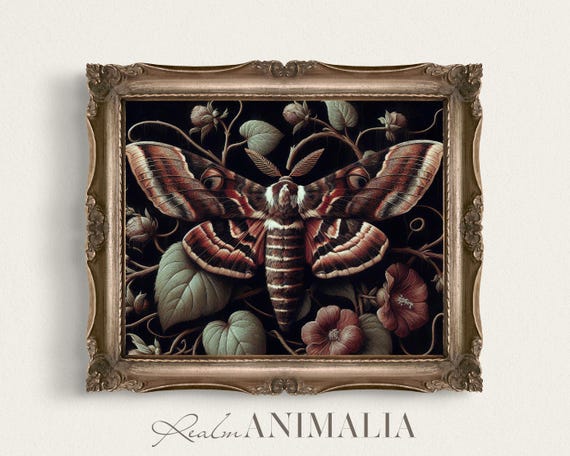 Botanical Moth Art Print Dark Cottagecore Woodland Nature Wall Art Moody Floral Insect Painting Gothic Dark Academia Art Mh008