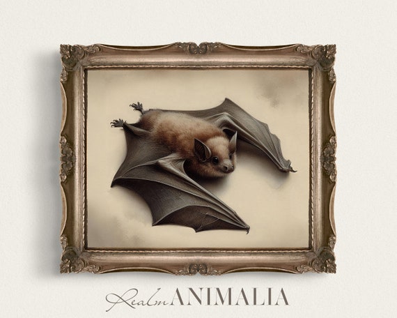 Bat Vintage Art Print Antique Bat Portrait Illustration Wall Art Neutral Animal Painting Bat Drawing Bt005
