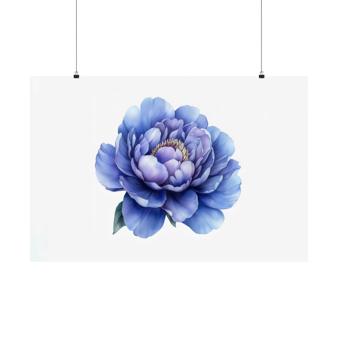 Blue Peony Watercolor Blossom White Background Floral Poster