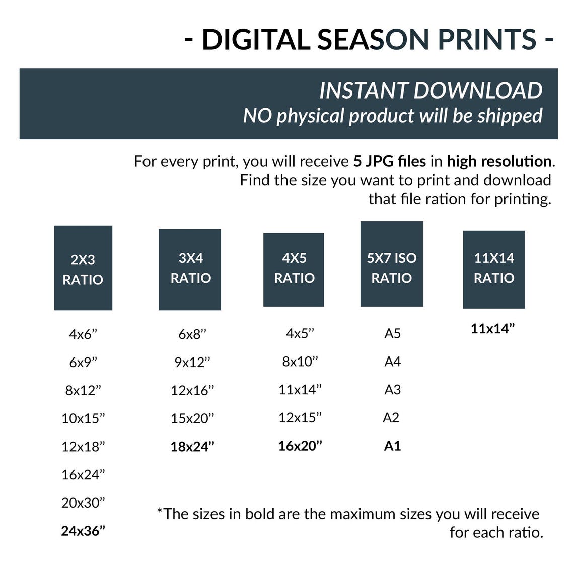 Witch Hat Kittens Jack O Lanterns Vintage Halloween Cat Costume Poster - Image 3