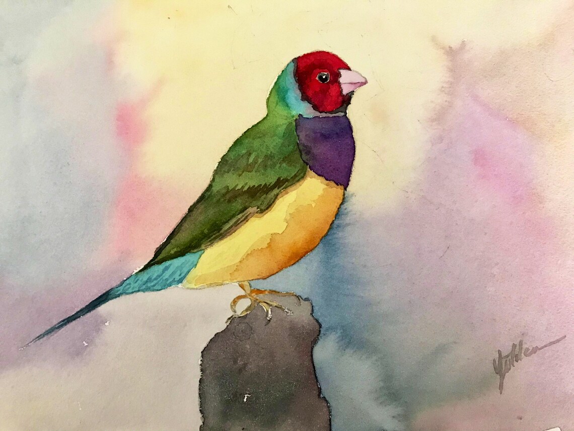 Rainbow Gouldian Finch on Pastel Wash Watercolor Bird Poster