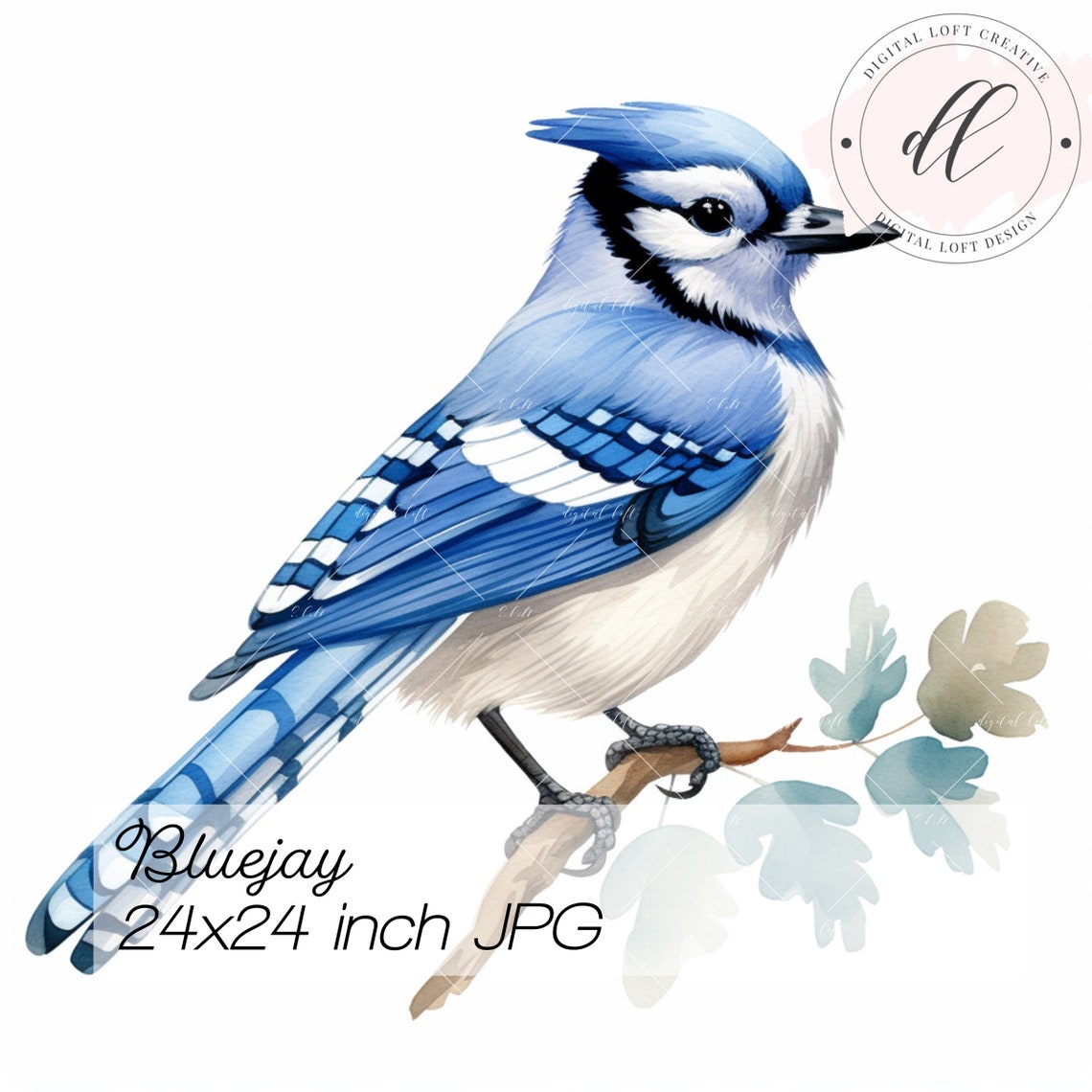 Watercolor Blue Jay Bird on Branch Backyard Wildlife Art Poster