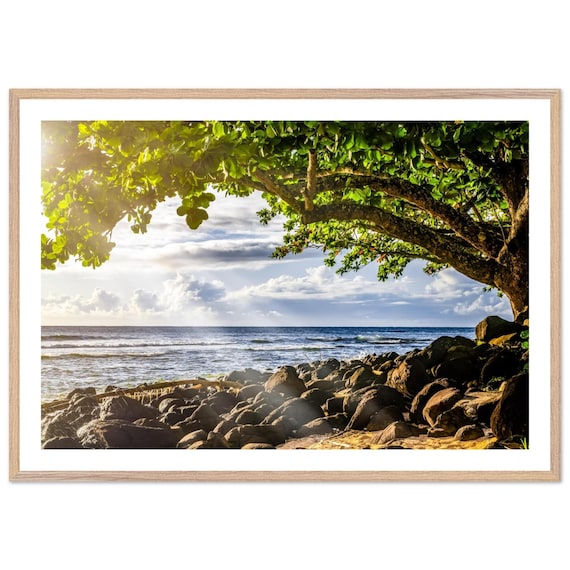 Kauai Rocky Shoreline Tropical Beach Photo Under Tree Canopy Print