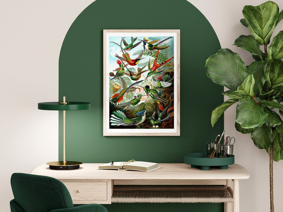 Vintage Birds, Ernst Haeckel Nature Art Print - Image 2