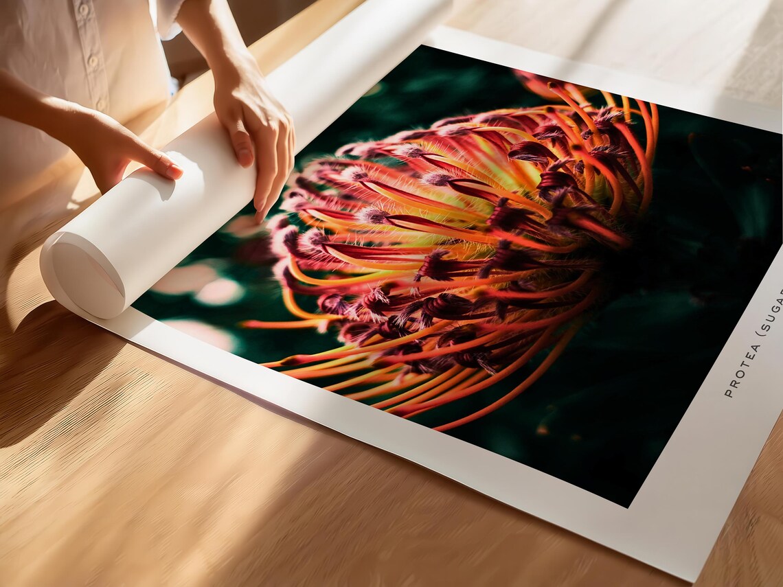 Protea Botanical Photography, Moody Flower Art Print - Image 3