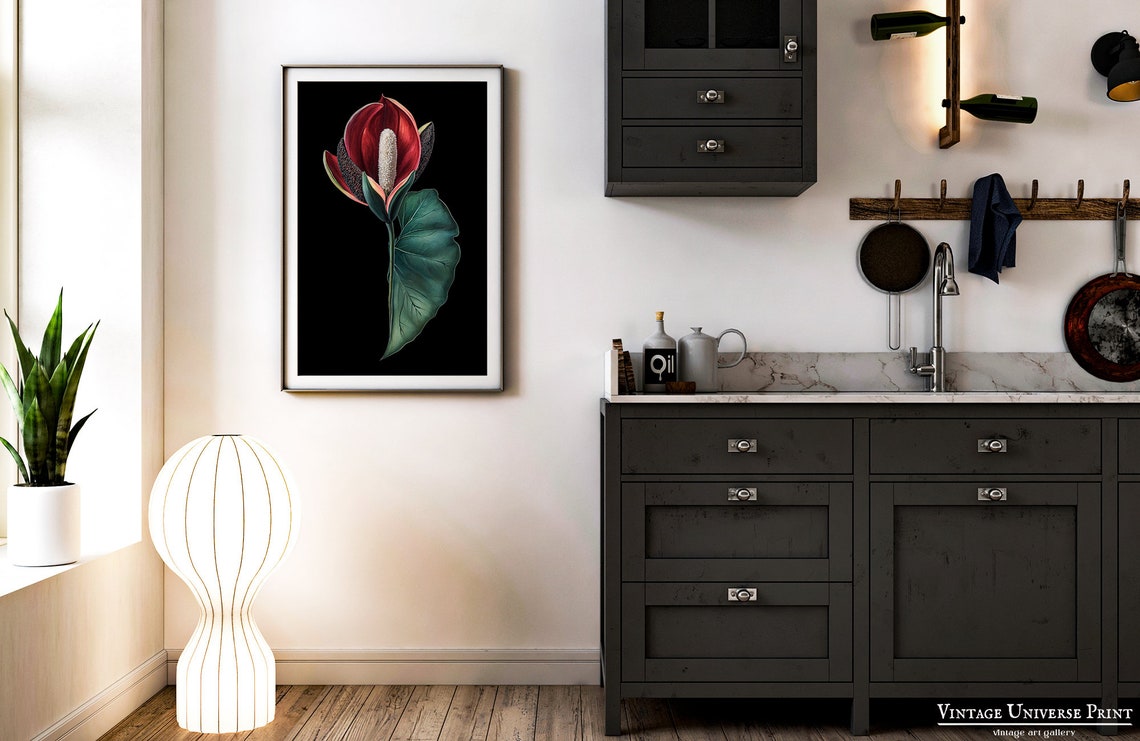 Red Anthurium Bloom Black Background Botanical Illustration Poster - Image 2
