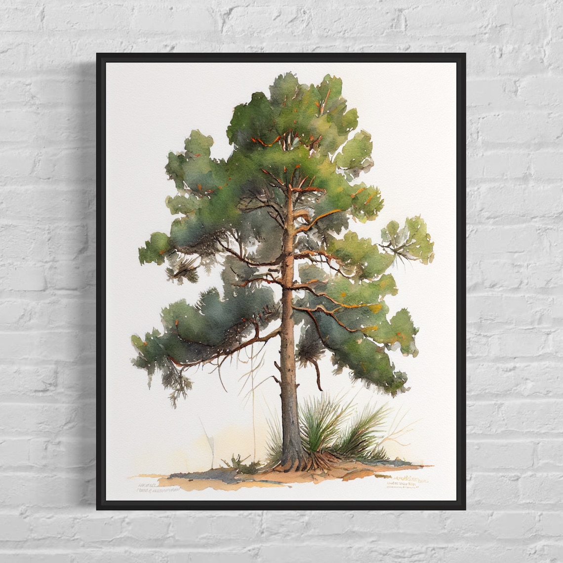 Loblolly Pine Tree Art Print, Nature Landscape
