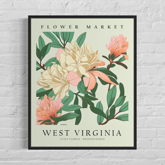 West Virginia State Flower Rhododendron Poster Print