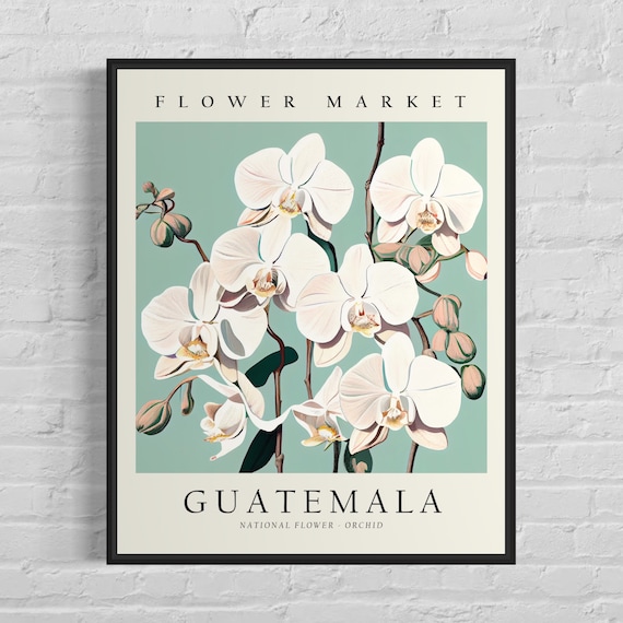 Guatemala Flower Market Orchid Botanical Art Print