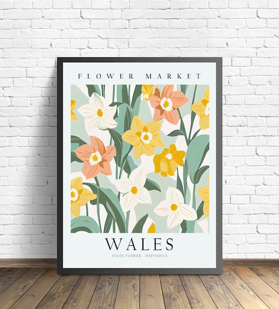Wales National Flower Daffodils 1960s Art Print