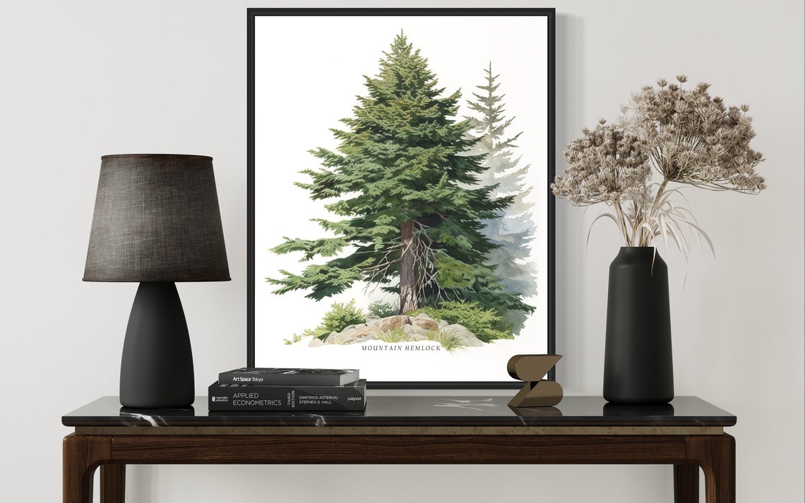 Mountain Hemlock Watercolor Evergreen Pine Tree Botanical Poster - Image 3