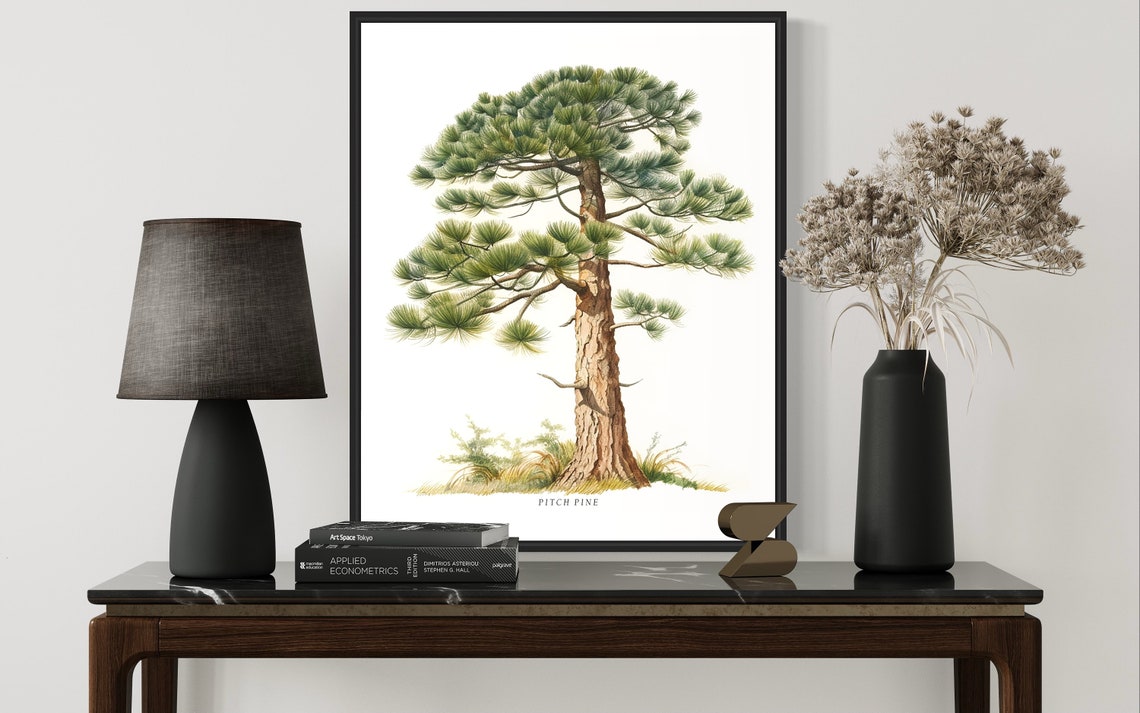 Pitch Pine Watercolor Classic Tall Evergreen Botanical Poster - Image 3