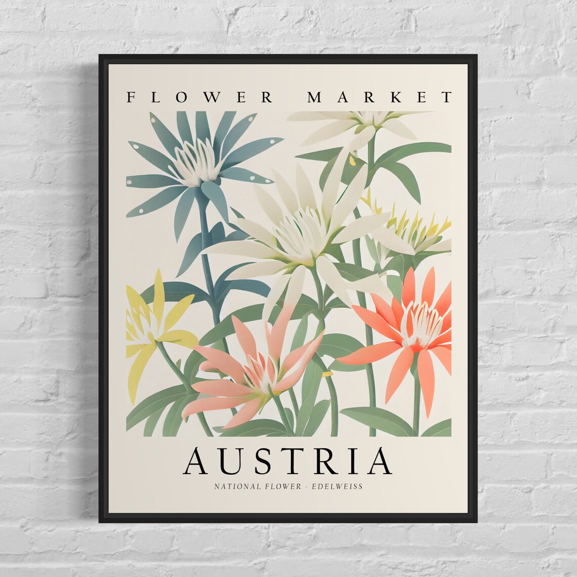 Austria Edelweiss 1960s Botanical Art Print