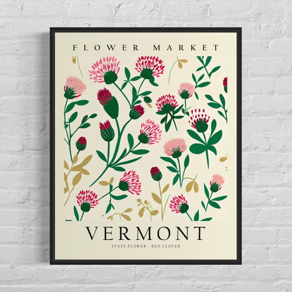 Vermont State Flower Red Clover Botanical Art Print