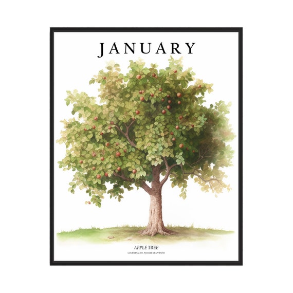 January Tree Month Apple Tree Art Print Apple Tree Wall Art Poster