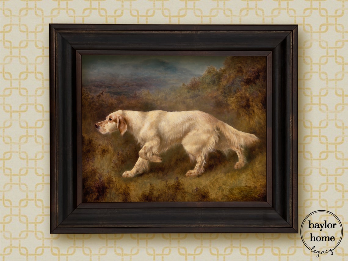English Setter Pointing In Moorland Vintage Bird Dog Field Art Poster