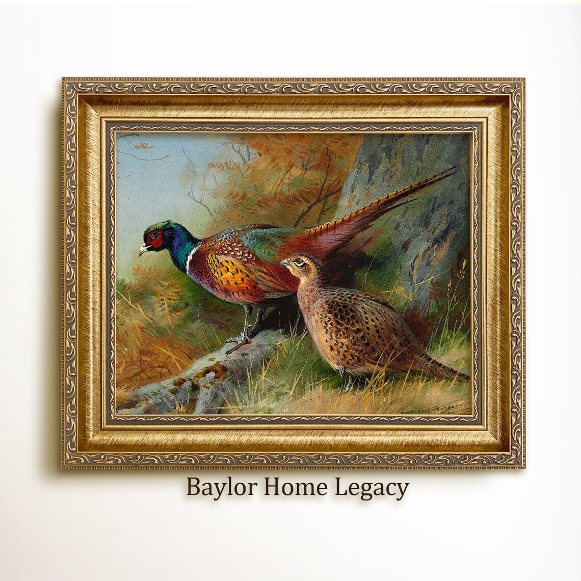 Ring-Neck Pheasants Vintage Landscape Art Print