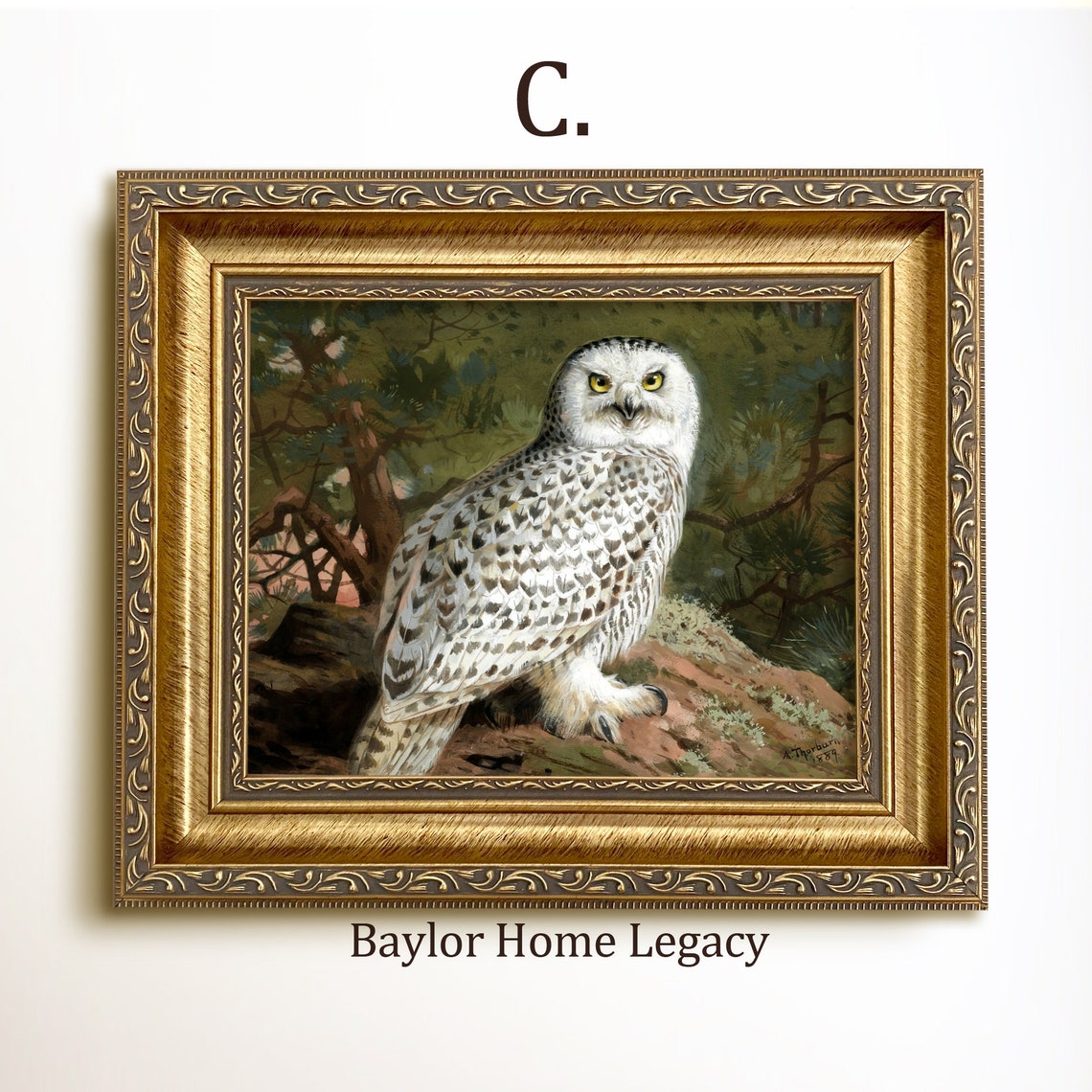 Snowy Owl Perched on Rocky Branch Vintage Bird Wildlife Art Poster - Image 3