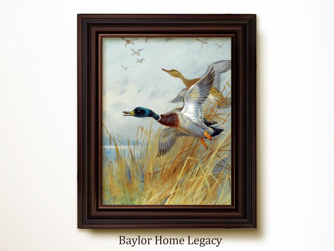 Mallard Ducks in Flight, Vintage Rustic Art Print