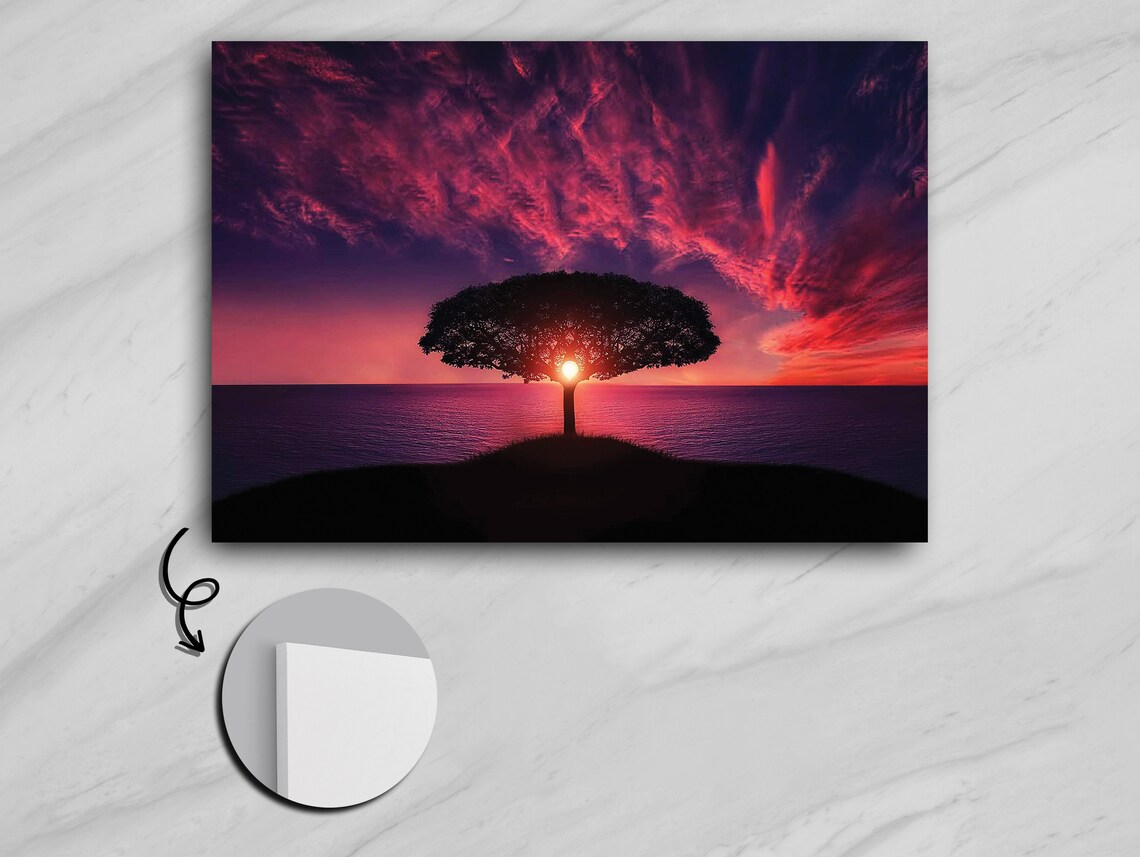 Tree Shadow at Sunset, Contemporary Decor