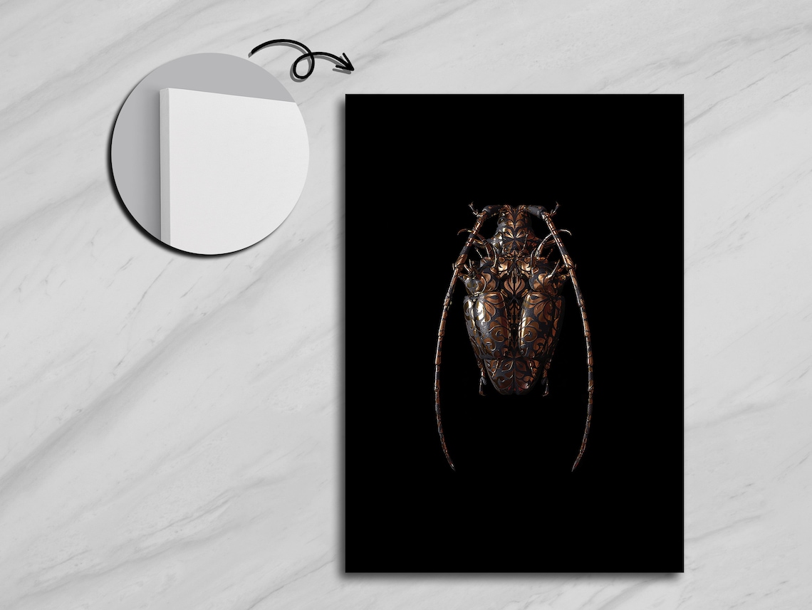 Elegant Antennae Of Nature Insect, Nature Decor - Image 5