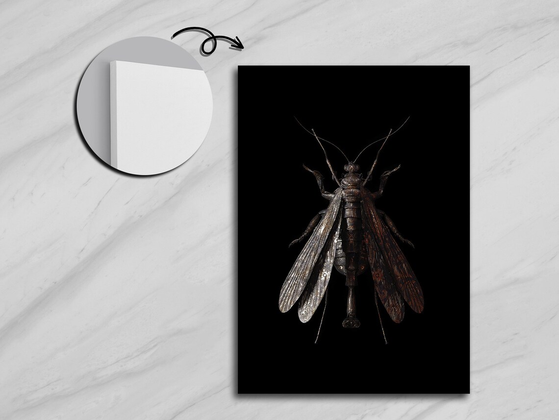 Tiny Wonders Of Nature Multi Winged Insect Portrait - Image 5