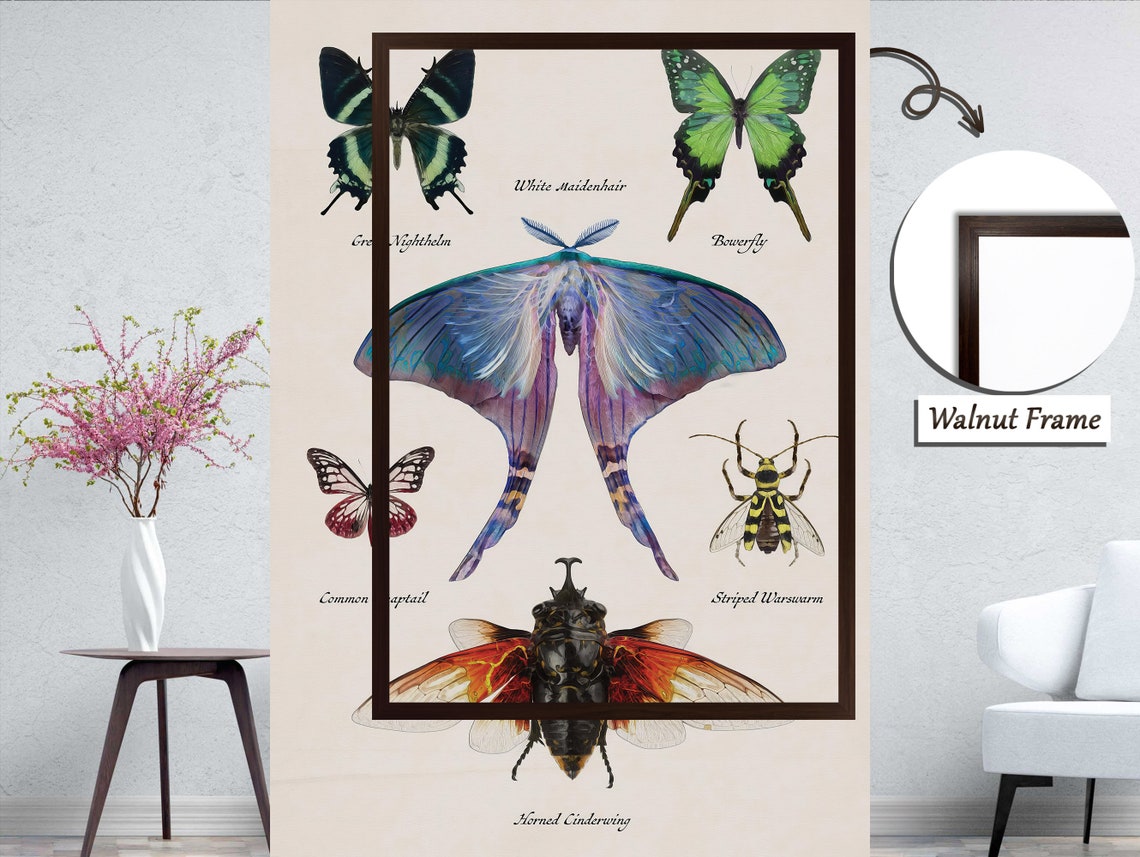 Butterfly Art, Modern Insect Decor - Image 5