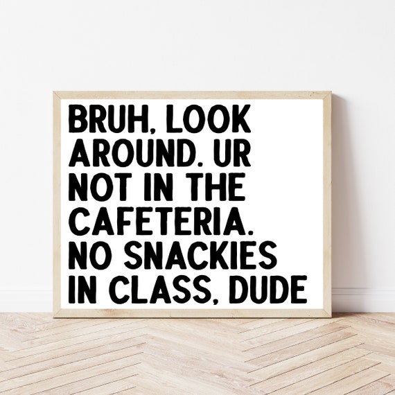 Middle High School Classroom Rules Funny Teacher Poster