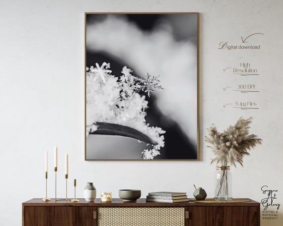 Snowflake Macro Minimal Black White Winter Crystal Photography Poster