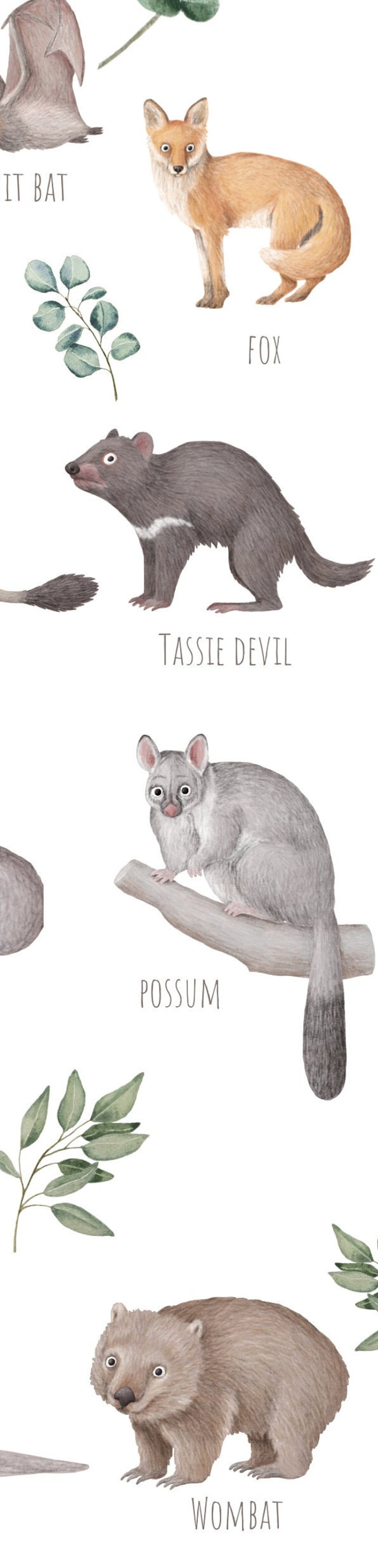 Australian Animals Poster, Aussie Wildlife Art Print - Image 4