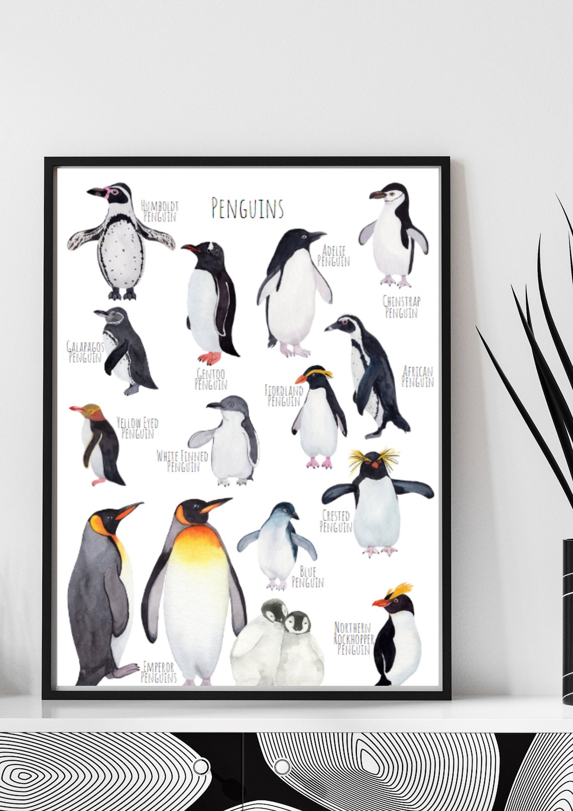 Watercolor Penguin Species Chart Adelie Gentoo Chinstrap Art Poster - Image 5