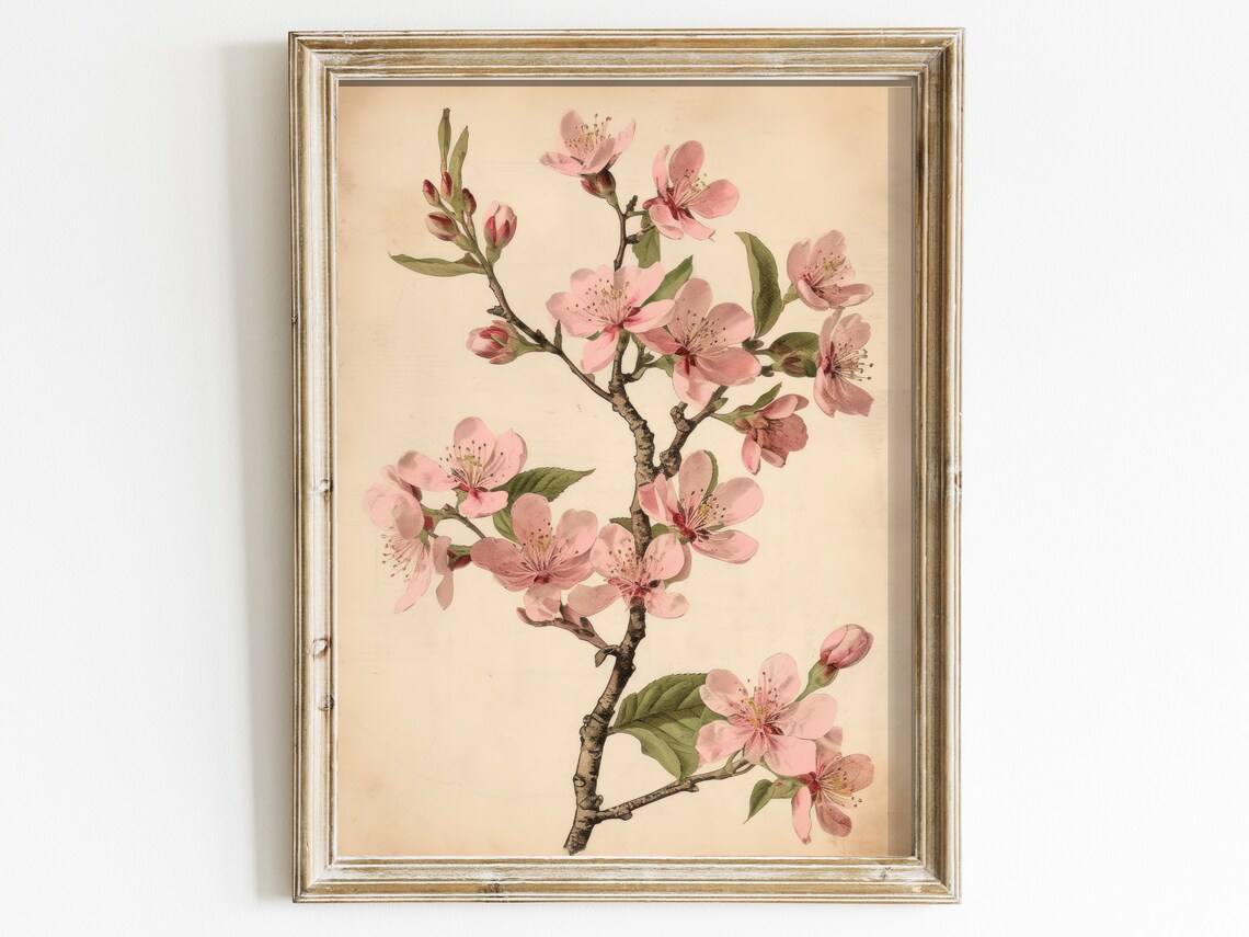 Vintage Cherry Blossom Art Print, French Farmhouse Style