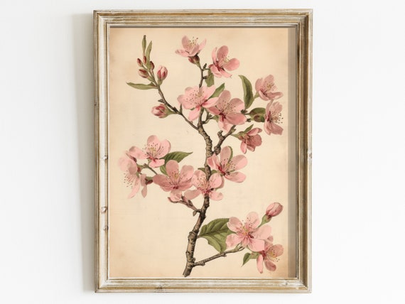 Vintage Cherry Blossom Art Print, French Farmhouse Style