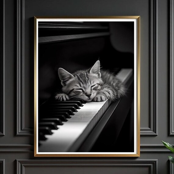 Sleeping Kitten on Piano Keys Black and White Cat Photography Poster