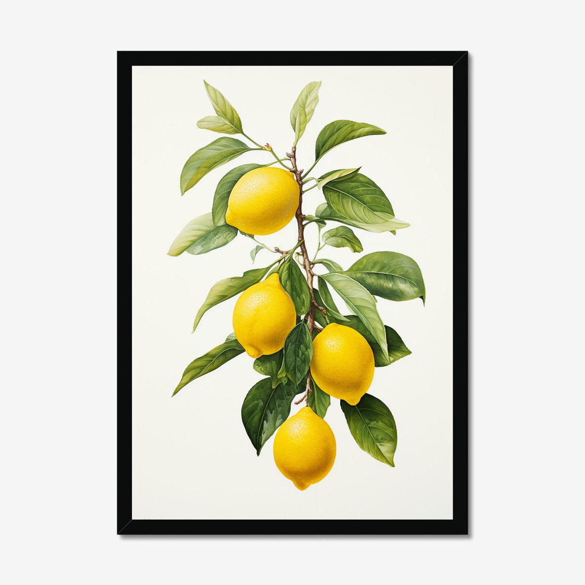 Ripe Lemons on Branch Vintage Botanical Citrus Illustration Poster
