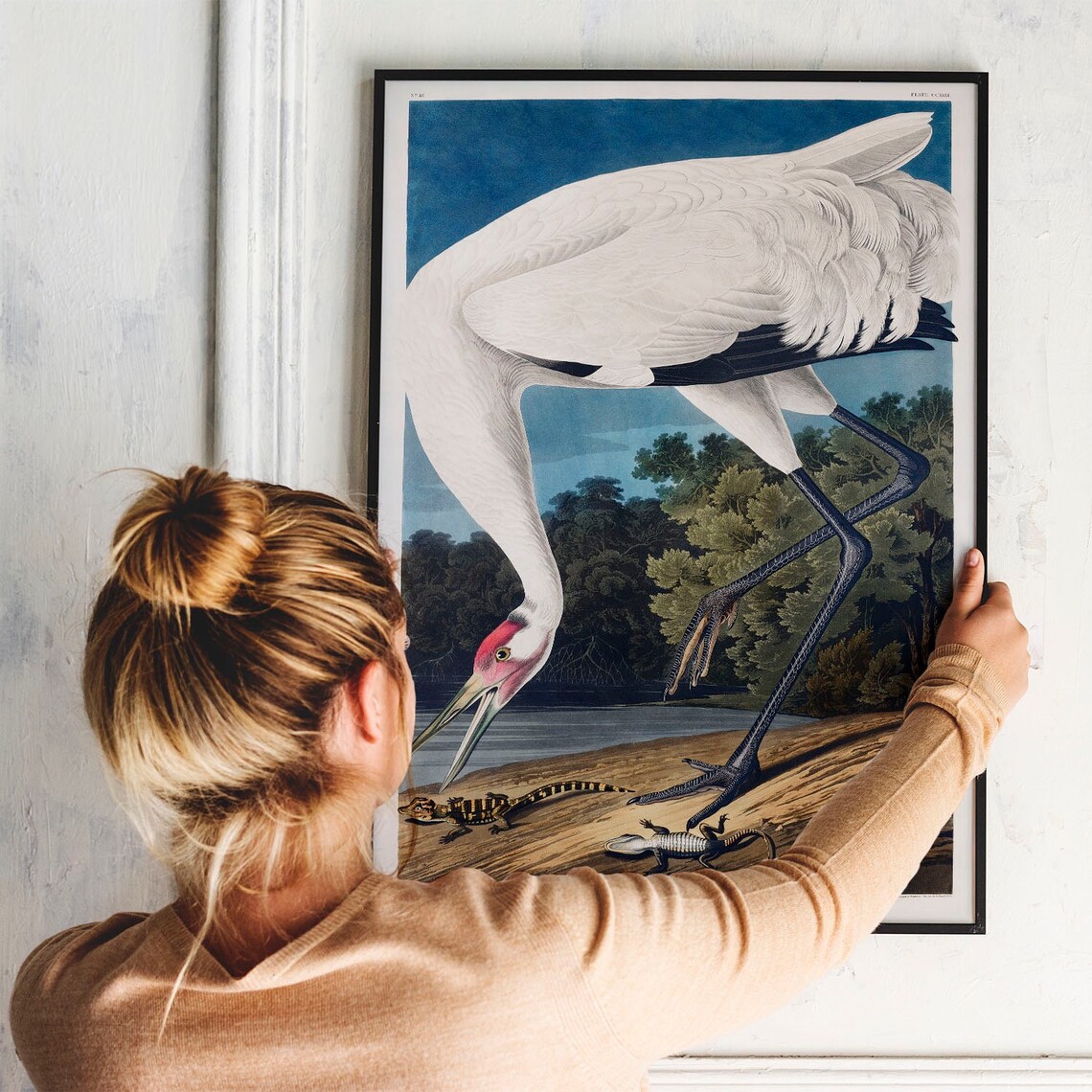 Crane Print, Vintage Bird Drawing Poster - Image 3