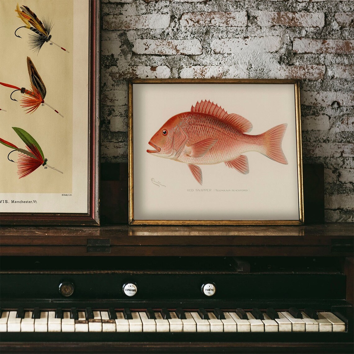 Northern Red Snapper Vintage Fishing Poster - Image 4