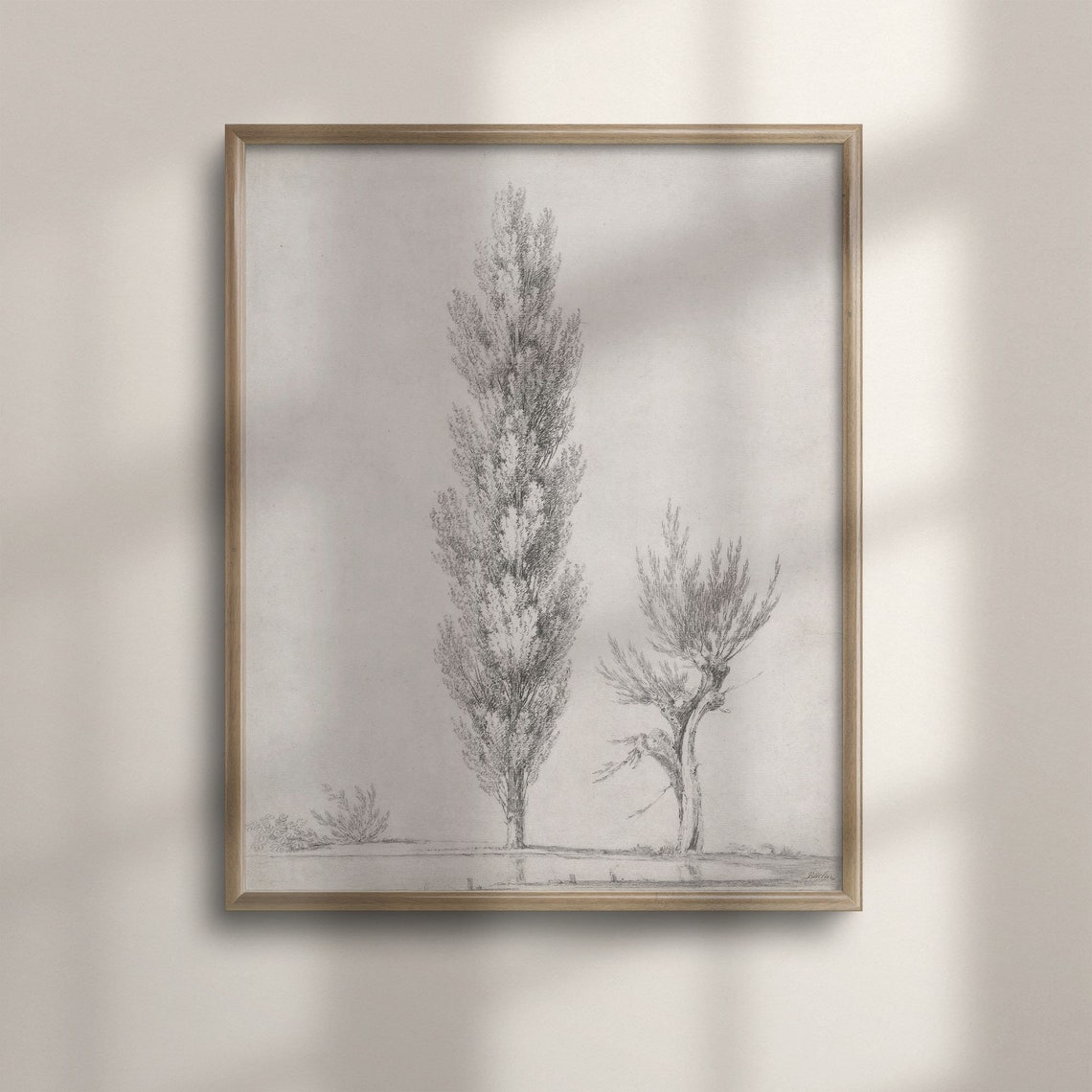 Vintage Tree Study Sketch Antique Minimal Botanical Pencil Art Poster