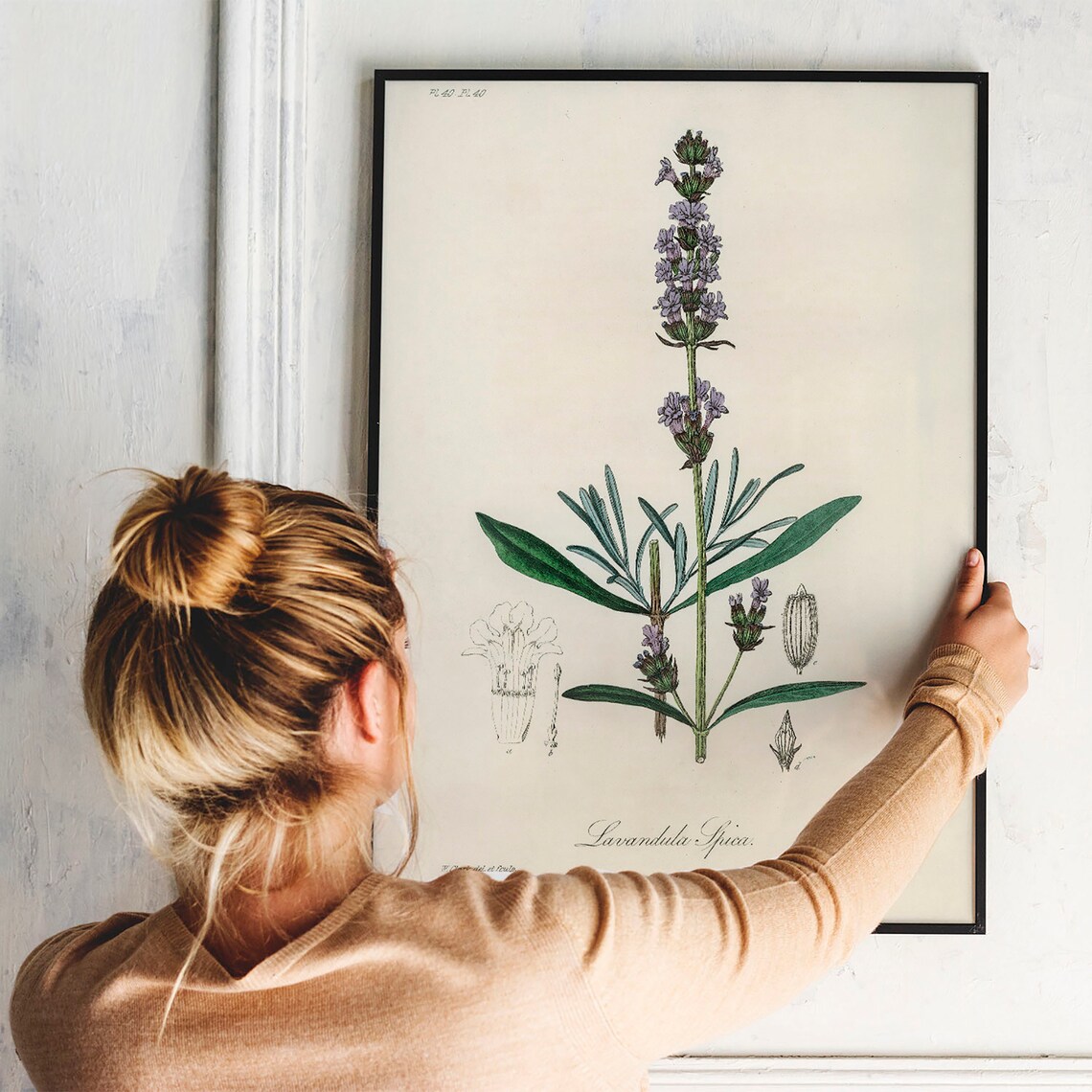Lavender Vintage Botanical Art Print, Kitchen Decor - Image 3