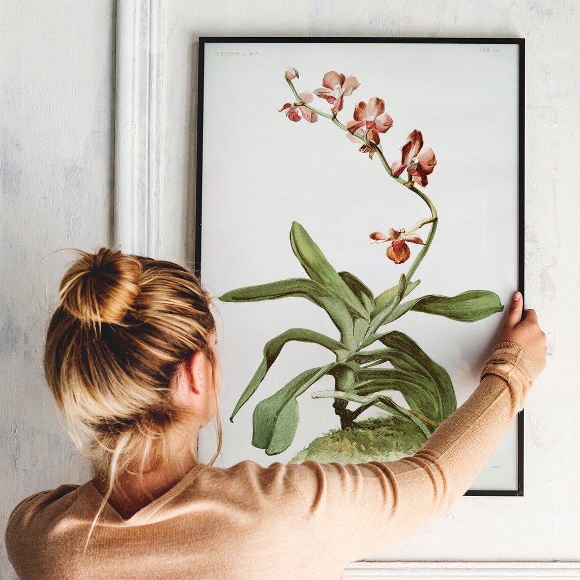Vanda Parishii Pink Orchid Vintage Botanical Illustration Poster - Image 4