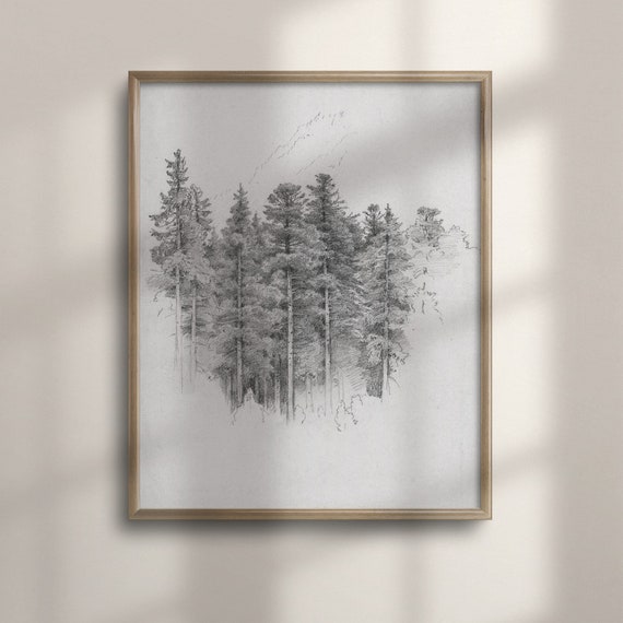 Vintage Pine Tree Sketch Neutral Wall Art Farmhouse Decor Forest Art Print Poster Rustic Home Decor Pine Tree Drawing C16 1466