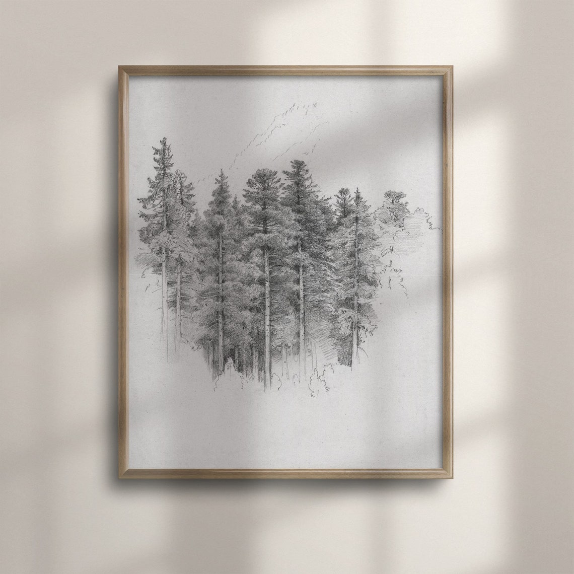 Pencil Sketch Of Tall Pine Forest Minimalist Drawing Art Poster