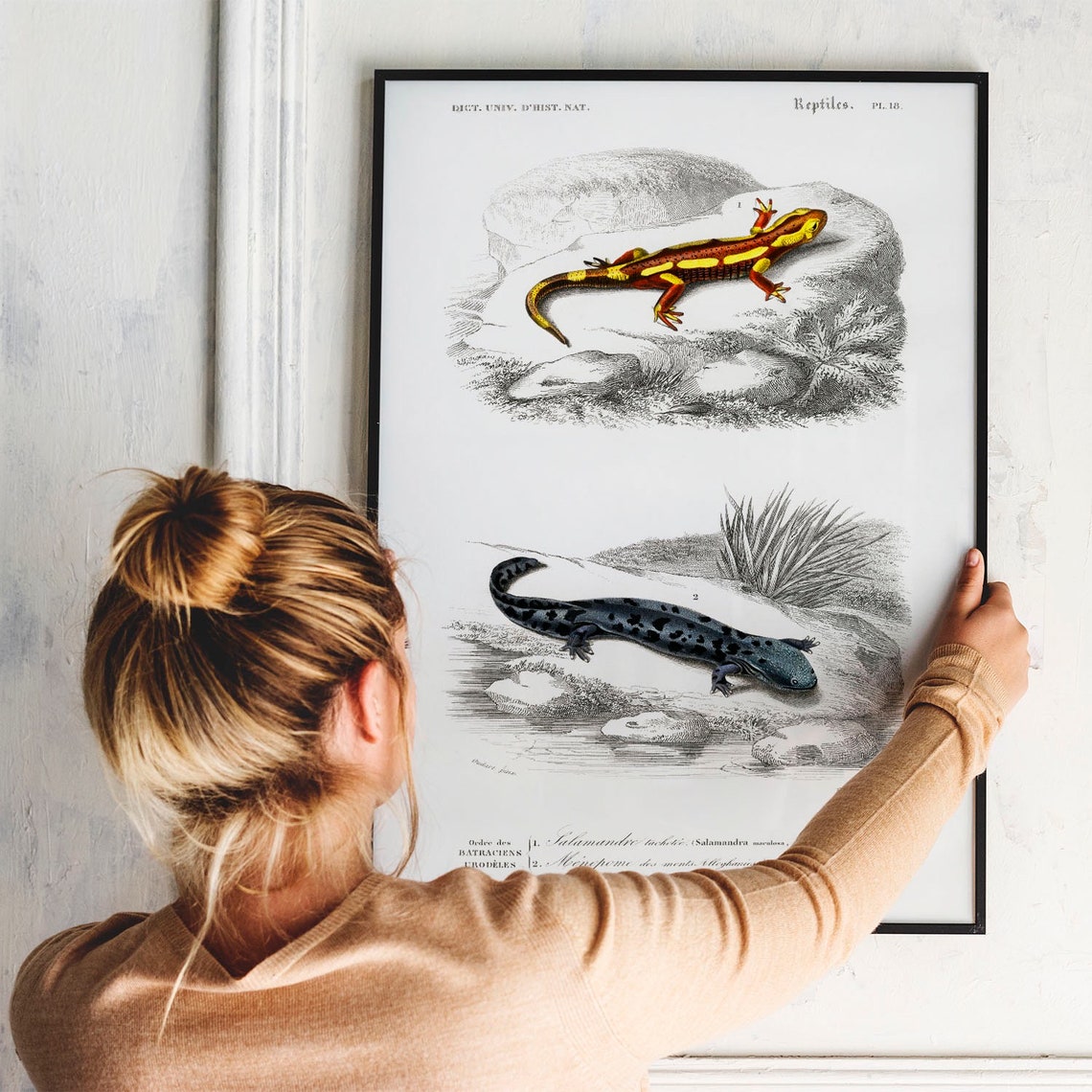 Vintage French Salamander Reptiles Chart Natural History Art Print - Image 3